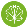Sesam-Logo-Blatt